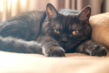 Similar image 21452209