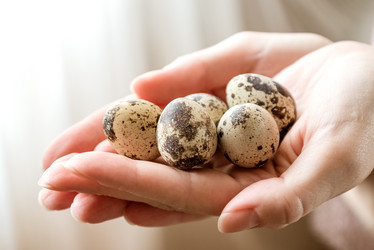 Similar image 21459626