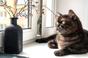 Similar image 21452211