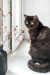 Similar image 21452212