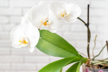 Similar image 21447727