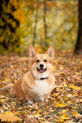 Similar image 21459628