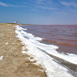 Similar image 21448244