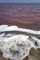 Similar image 21448246