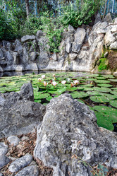 Similar image 21448249