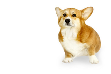 Similar image 21456257