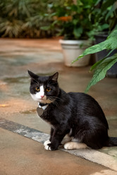 Similar image 21452331