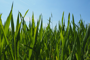 Similar image 21450441