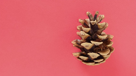 Similar image 21450443