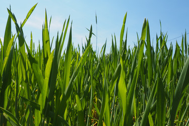 Similar image 21450444