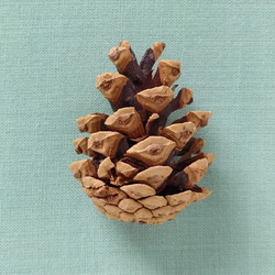 Similar image 21450448