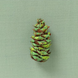 Similar image 21450462