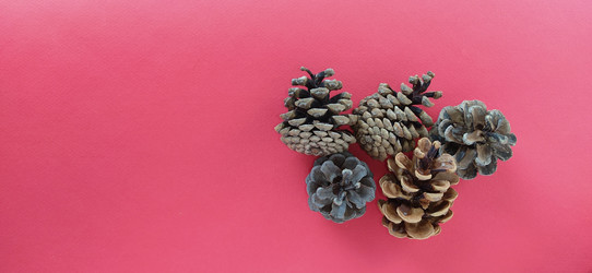 Similar image 21450465