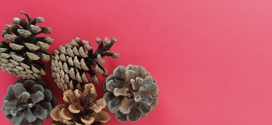 Similar image 21450467