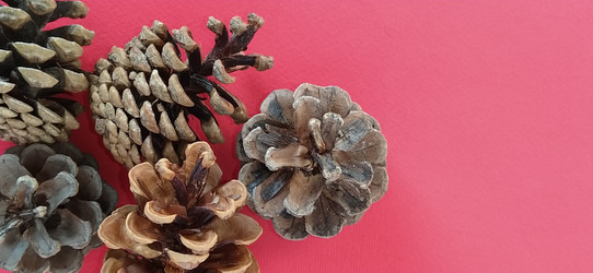 Similar image 21450470