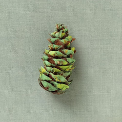 Similar image 21450473