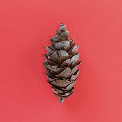 Similar image 21450480