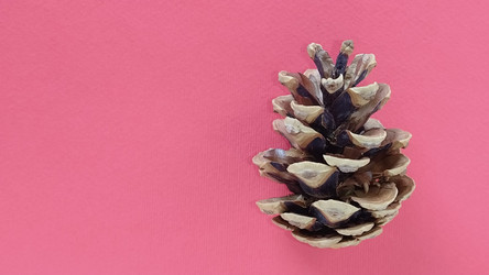 Similar image 21450486