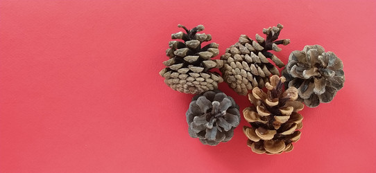 Similar image 21450488