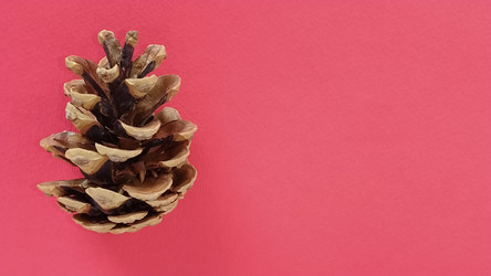 Similar image 21450491