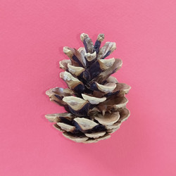 Similar image 21450493