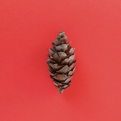 Similar image 21450497