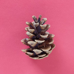 Similar image 21450500