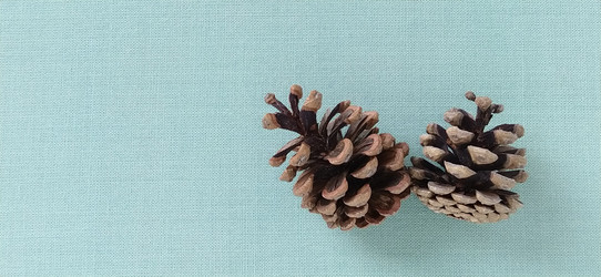 Similar image 21450503