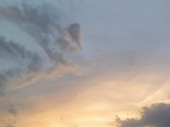 Similar image 21450505