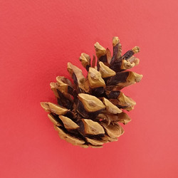 Similar image 21450506