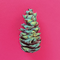 Similar image 21452060