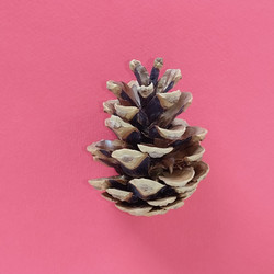 Similar image 21452217