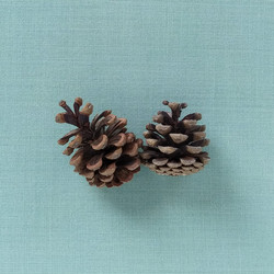 Similar image 21450095