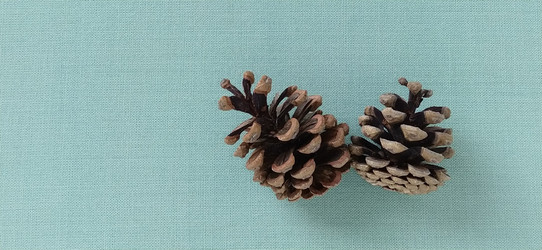 Similar image 21450096