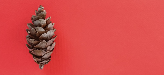 Similar image 21450097