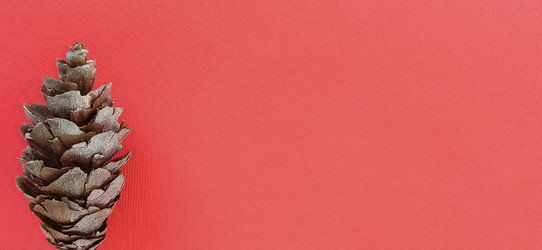 Similar image 21450099