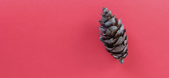 Similar image 21450102