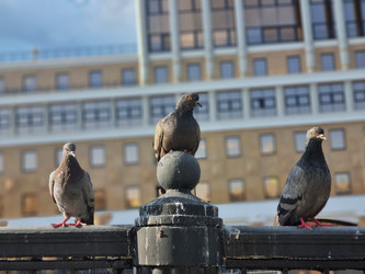 Similar image 21449488