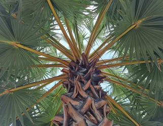 Similar image 21448270