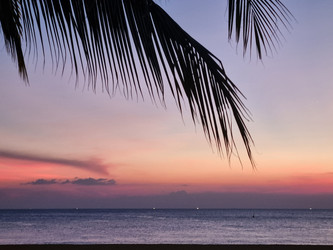 Similar image 21448272