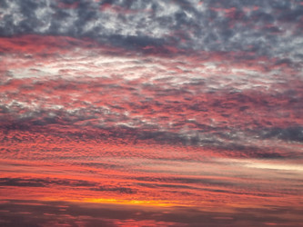 Similar image 21449496