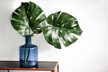 Similar image 21454583