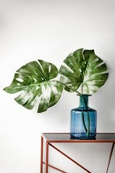 Similar image 21454584