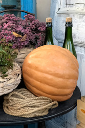 Similar image 21452219