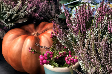 Similar image 21452353