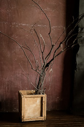 Similar image 21448058