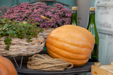 Similar image 21452357