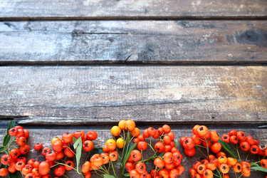 Similar image 21450129