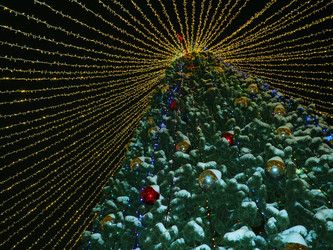 Similar image 21450138