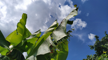 Similar image 21450168